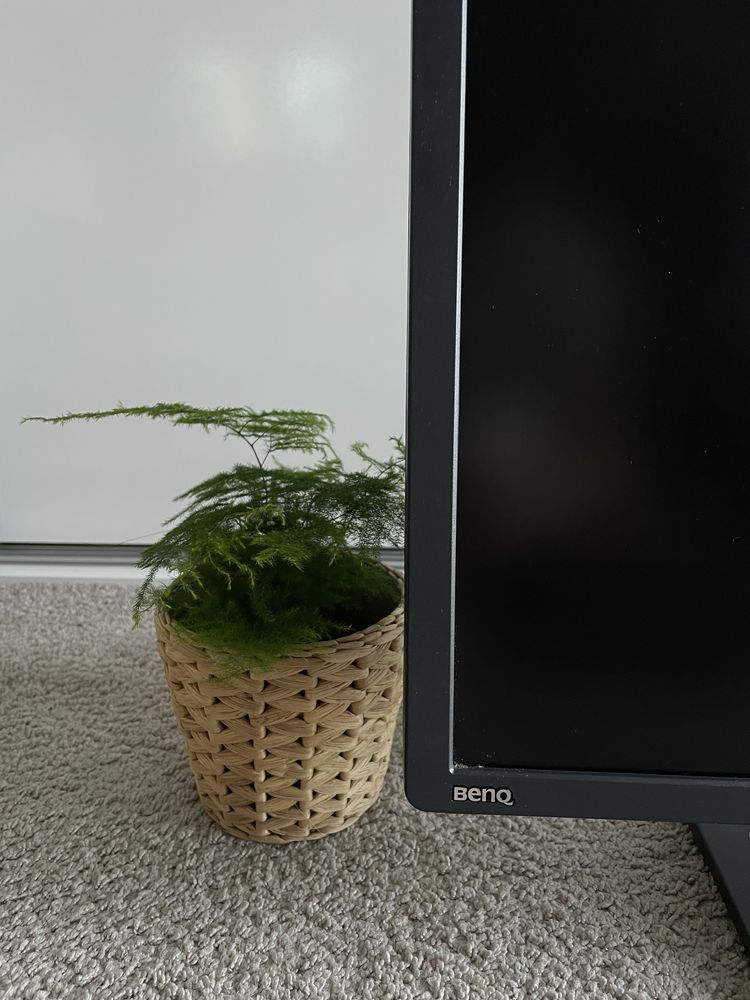 Monitor 144Hz BenQ Zowie XL2411 Stan bardzo dobry