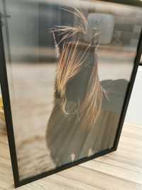 Zdjęcia konia Paula Jagodzińska 30 x 40 cm