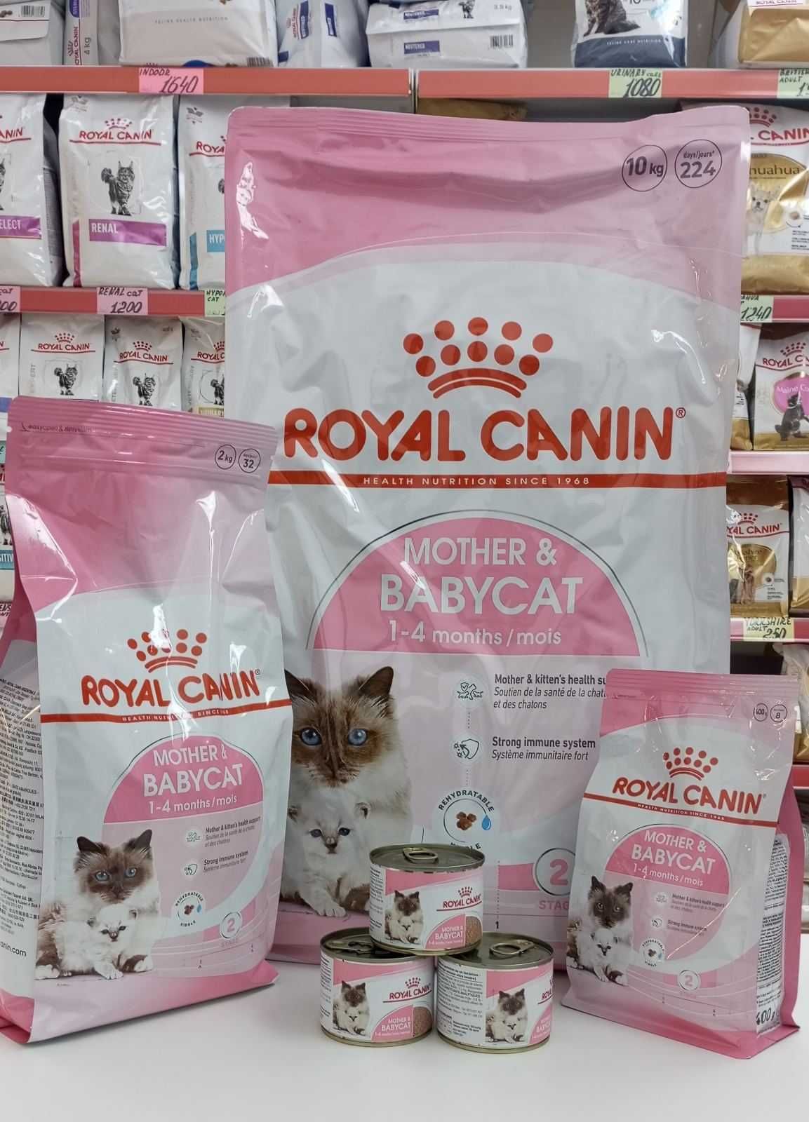 Royal Canin Mother&Babycat