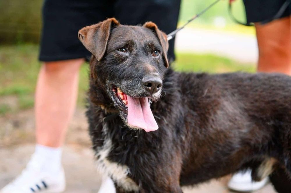 Słodki Baton prosi pięknie o dom ...