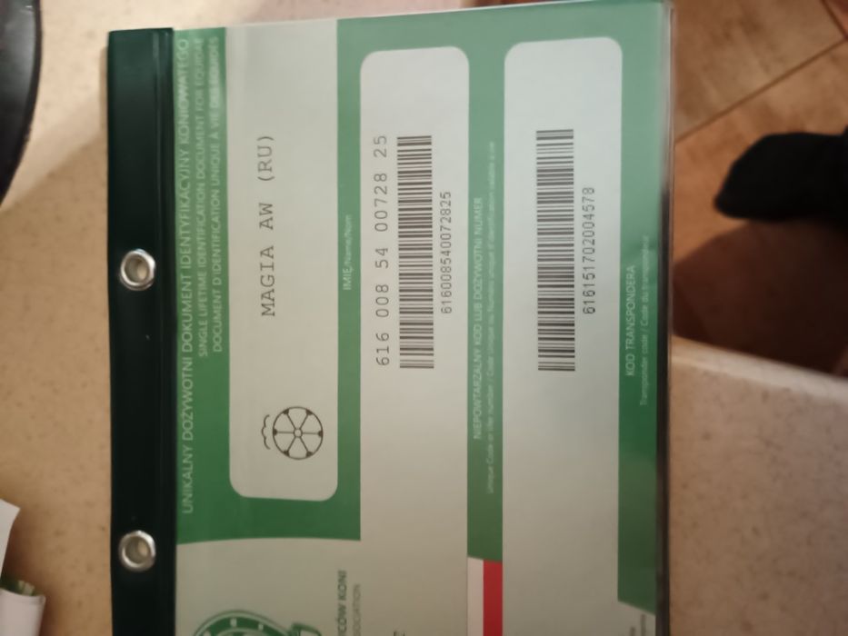 Sprzedam 2 ogiery śląskie i odsadki.