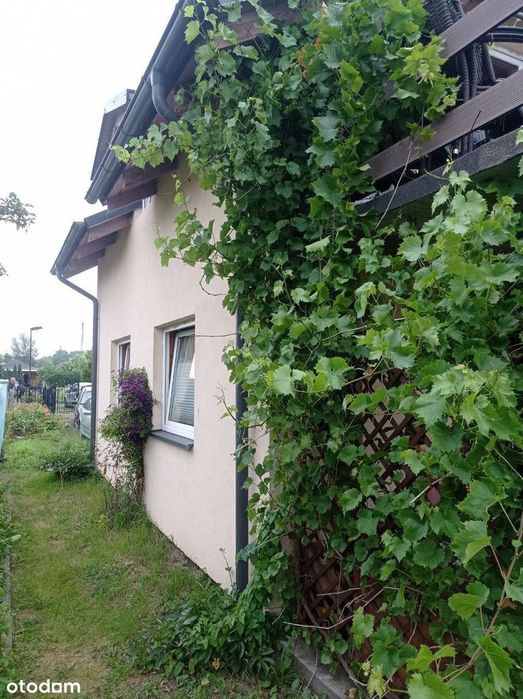 Działka ROD z całorocznym domem z 2021 roku – blisko centrum Gdańska