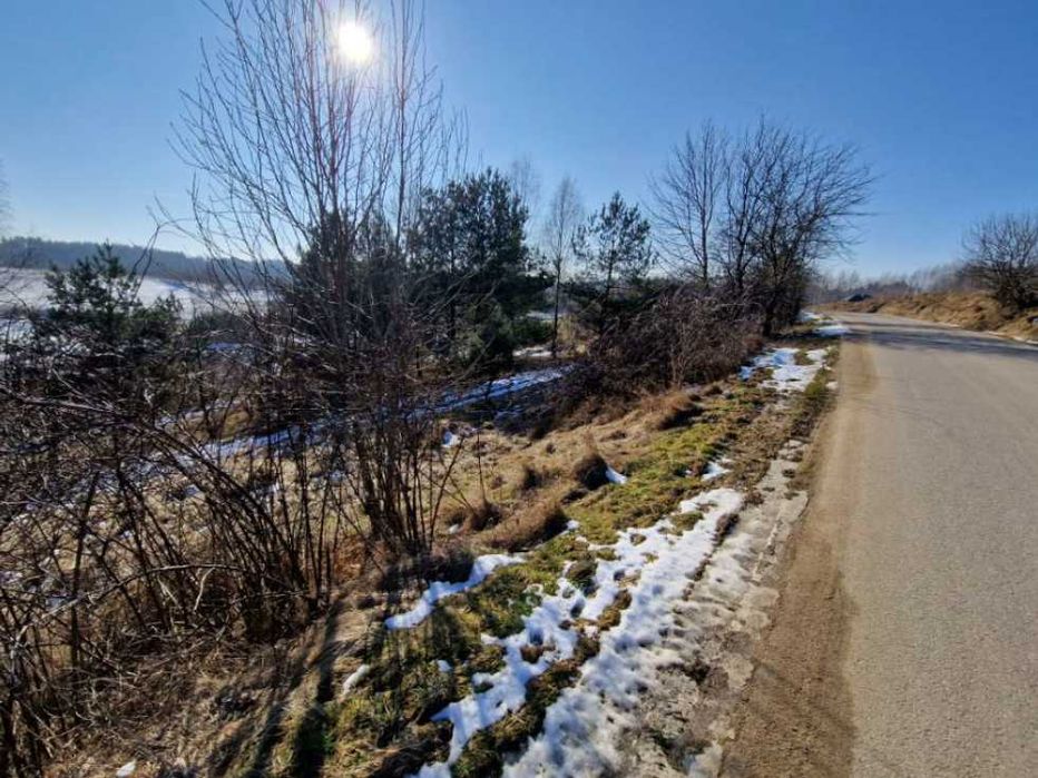 Syndyk sprzeda nieruchomość niezabudowaną - Sikorzyno