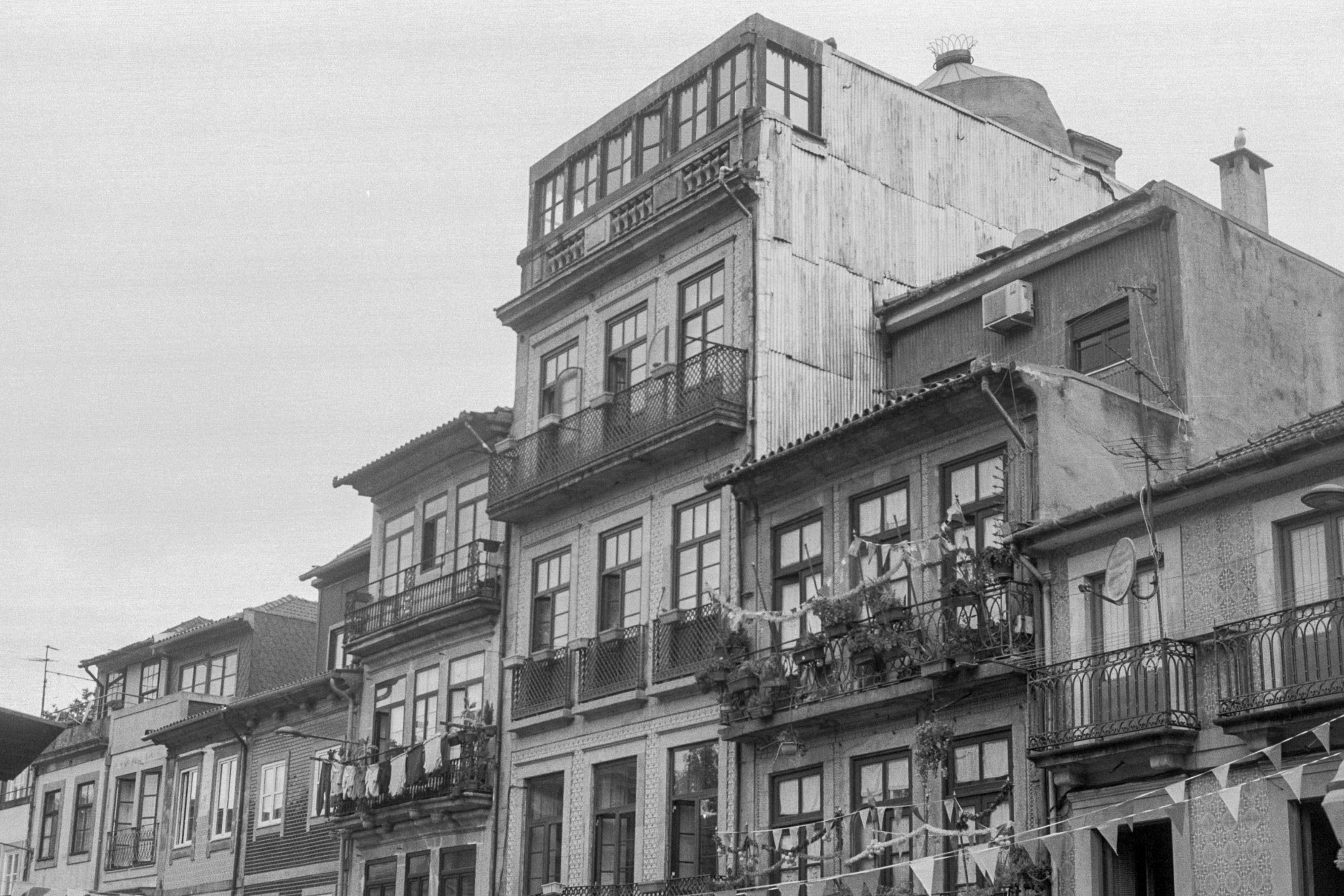 Olympus OM-1 + 50mm f/1.8