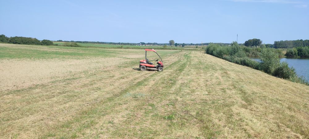 Wycinka drzew, czyszczenie nieużytków, zbieranie liści, koszenie trawy