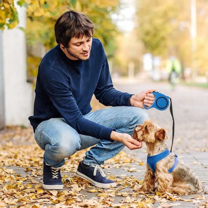 SMYCZ dla PSA KOTA AUTOMATYCZNA ZWIJANA Taśma z Blokadą 5m do 15 kg