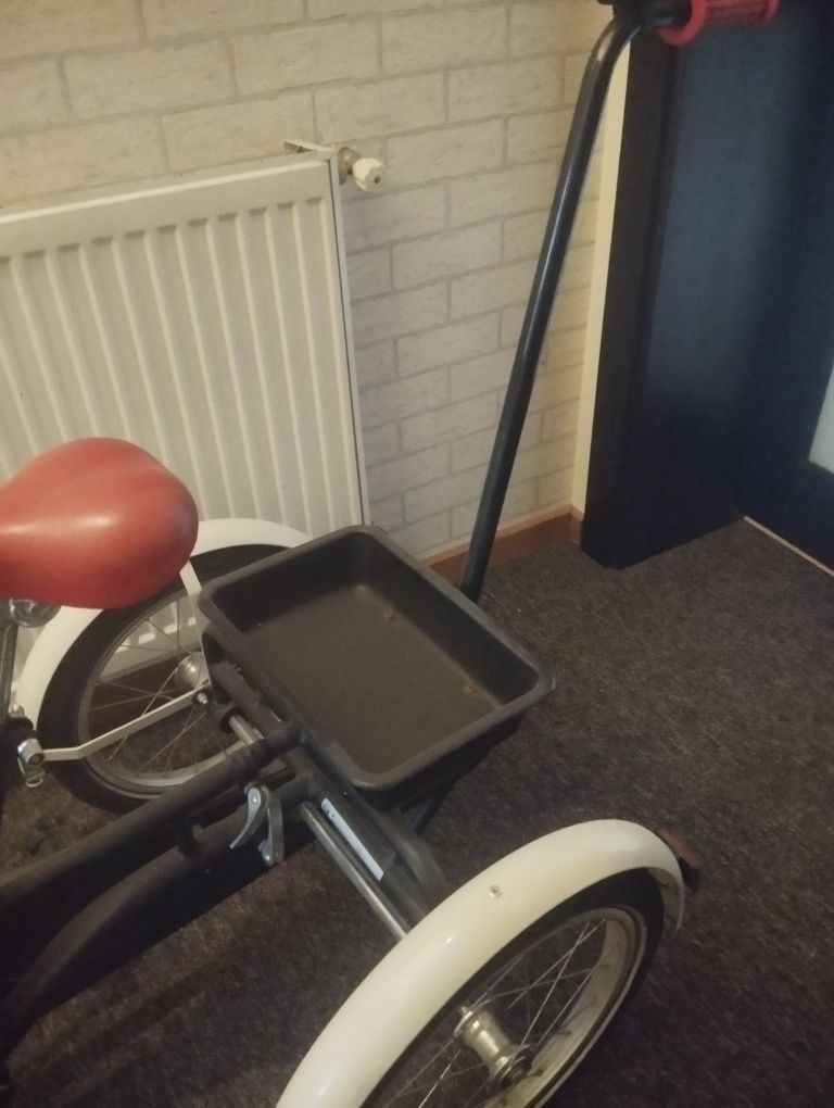 Rowerek rehabilitacyjny trójkołowy dla dziecka w wieku od 3 do 7