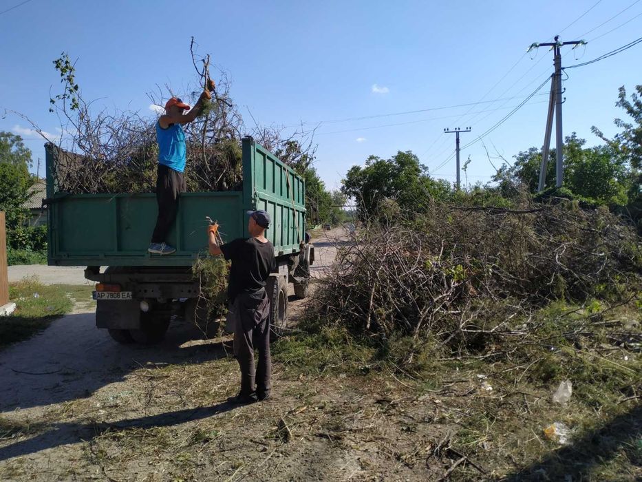 Вывоз мусора,веток,уборка участка, территории,спил деревьев,демонтаж