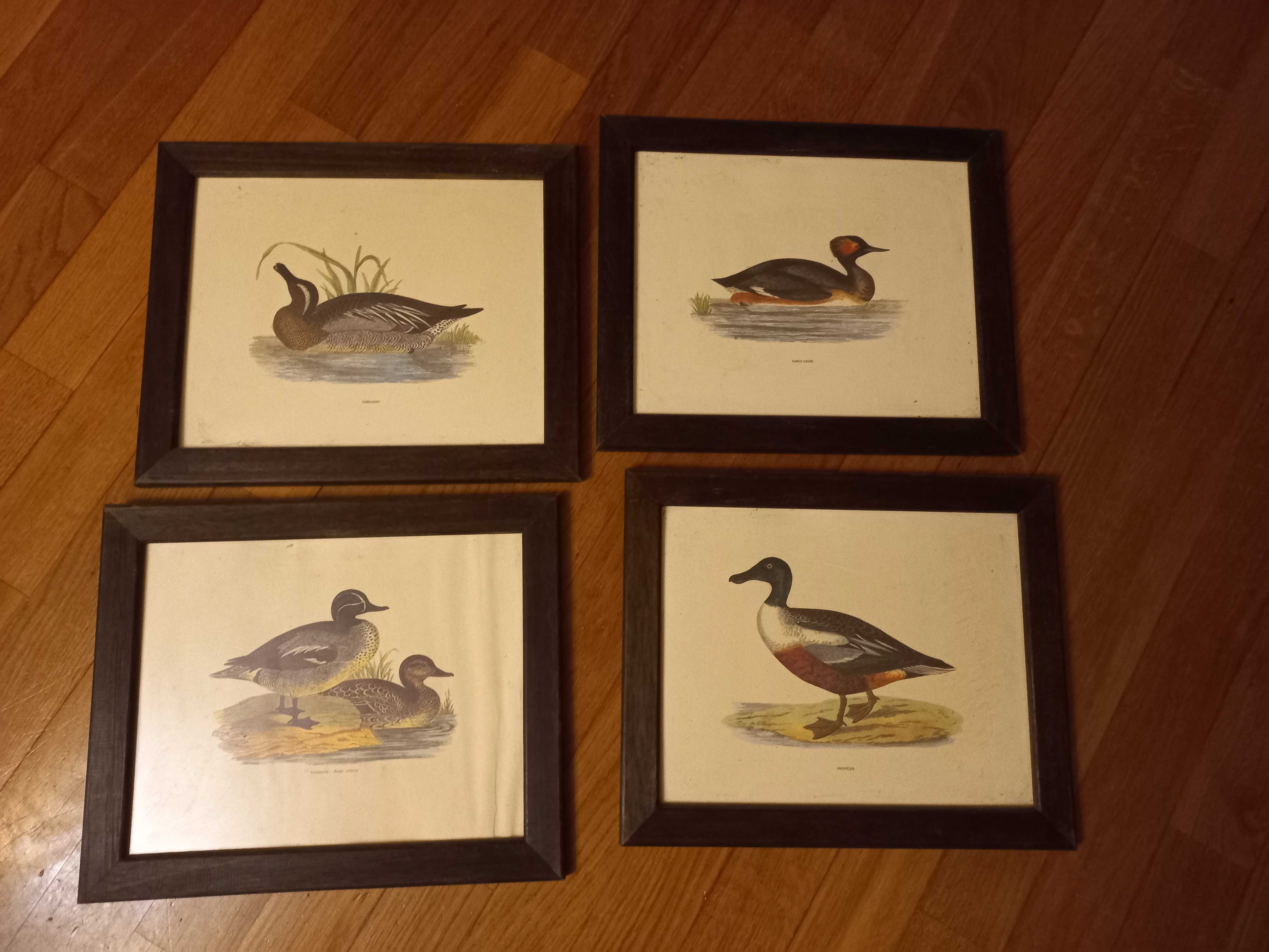 4 quadros com moldura de madeira motivo patos