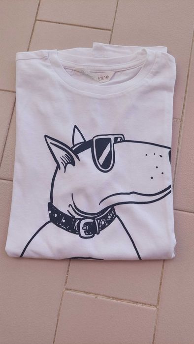 Camisolas menino 9/10 anos - Zara e Lefties