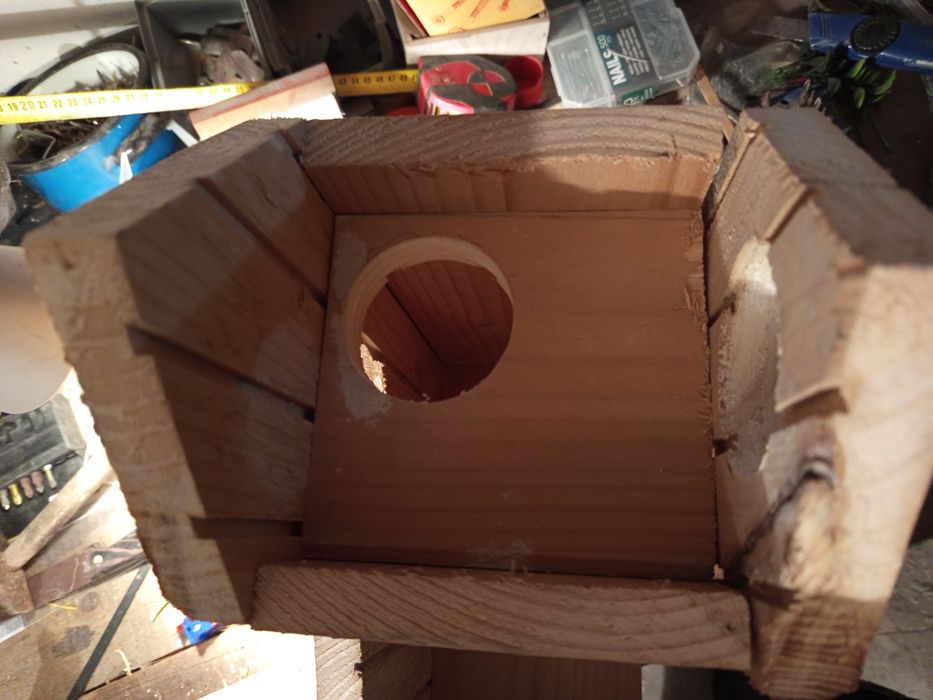 Budka lęgowa dla wiewiórki, dudka.