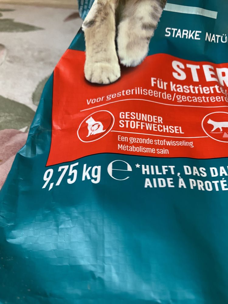 Karma  purina one sucha dla kastrowanychn kotów 9,75 kg nowa