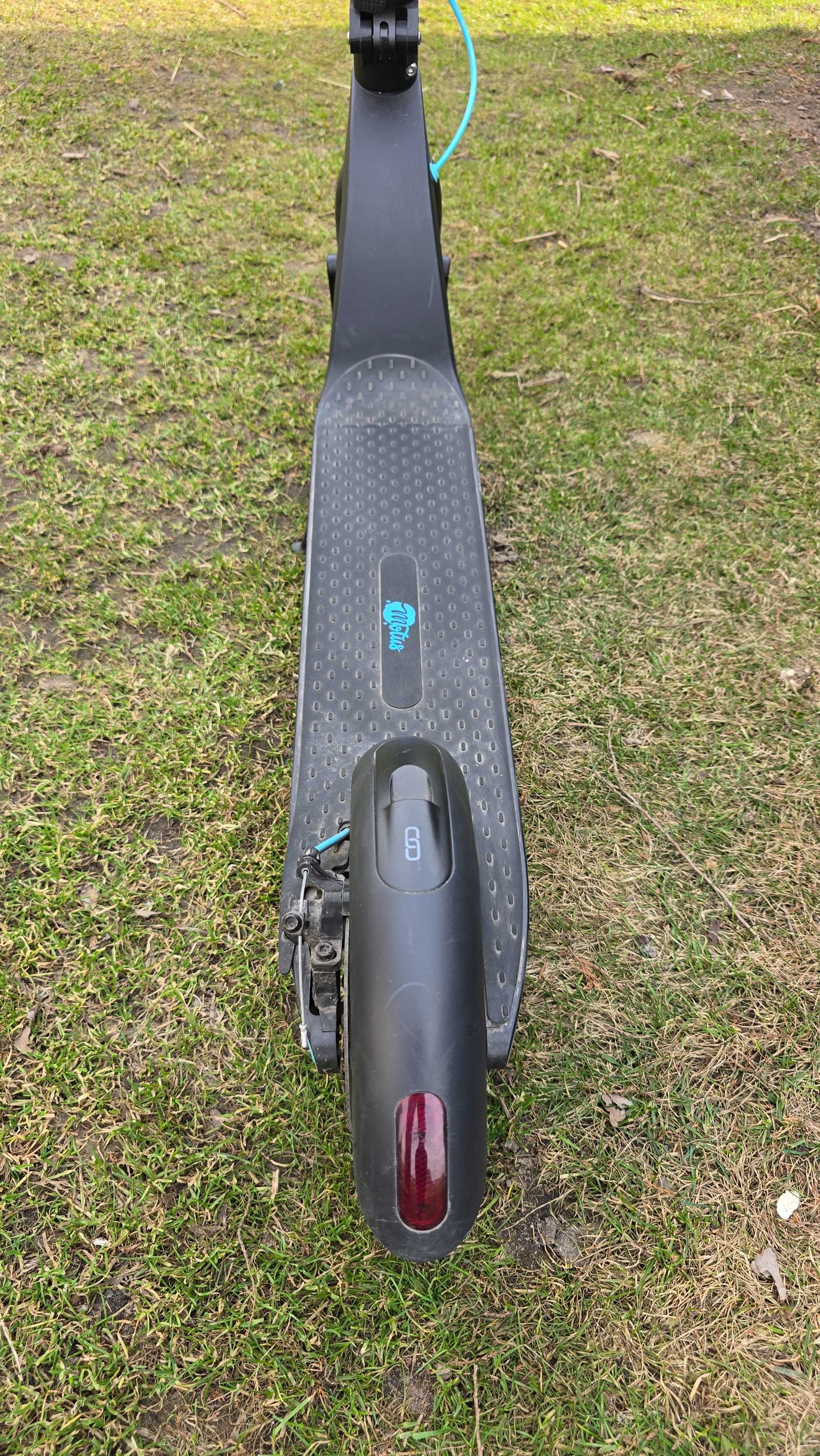 Hulajnoga elektryczna Motus Scooty 8.5 Power 350 W