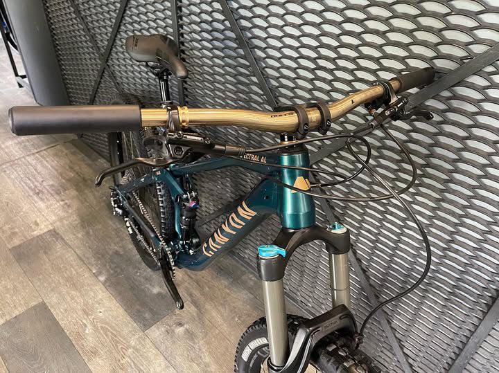 Canyon Spectral AL GX