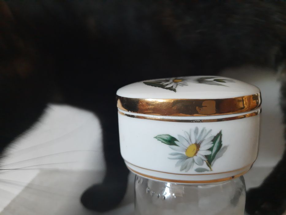 Caixa porcelana S P Coimbra numerada