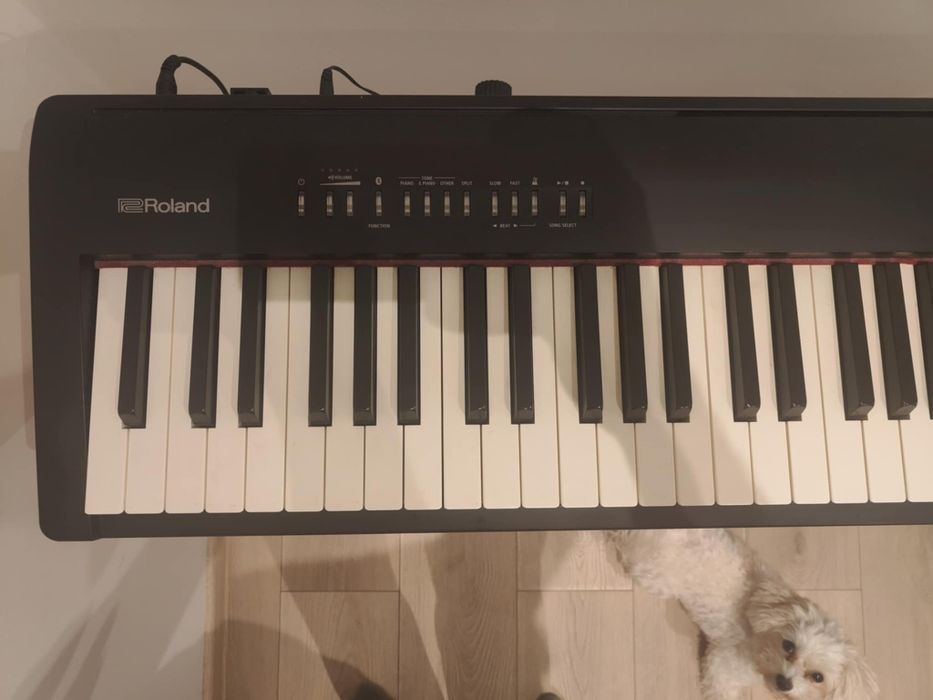 Pianino Roland FP-30 , FP30 + statyw + sustain +krzesełko