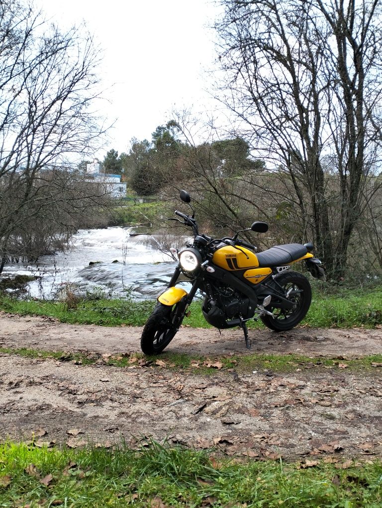 Yamaha xsr 125 cc