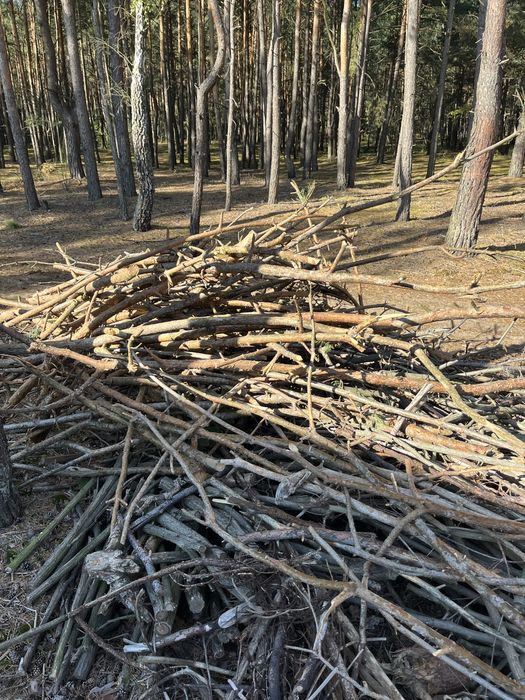 Oddam gałęzie! Pomoge zaladowac! Kilka przyczepek