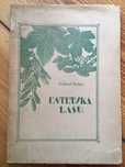 Estetyka lasu Karol Stieber 1929 leśnictwo