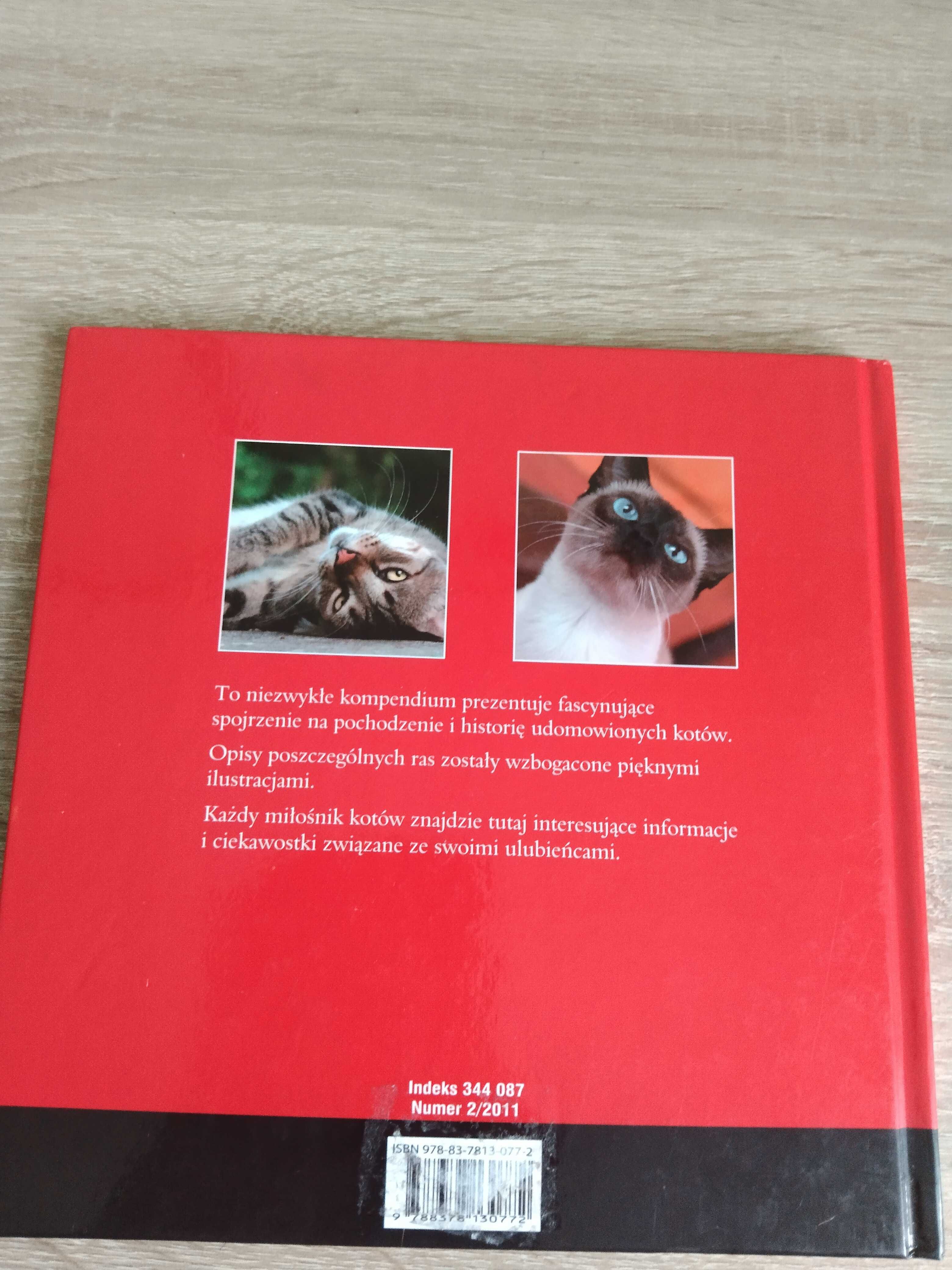 Koty. Poradnik Faktu.