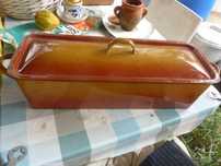 Tacho, Tachão para peixe