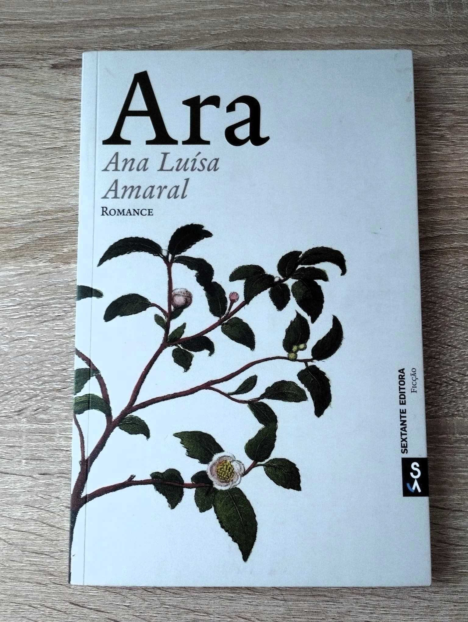 Profecia Istambul, Aventuras de João Sem Medo, Falar é Fácil,