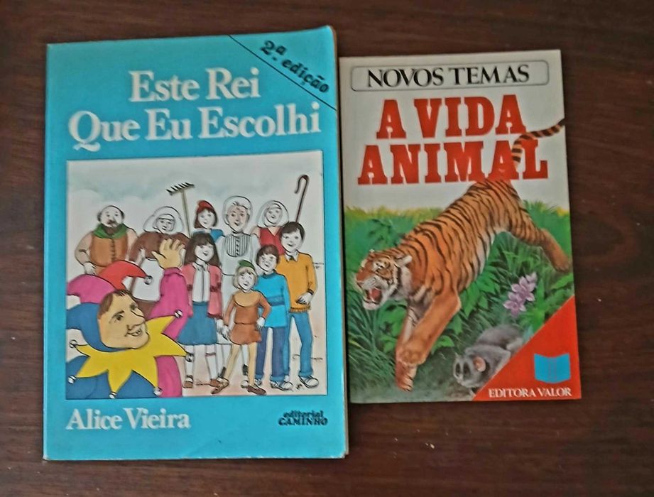 livros infantojuvenis