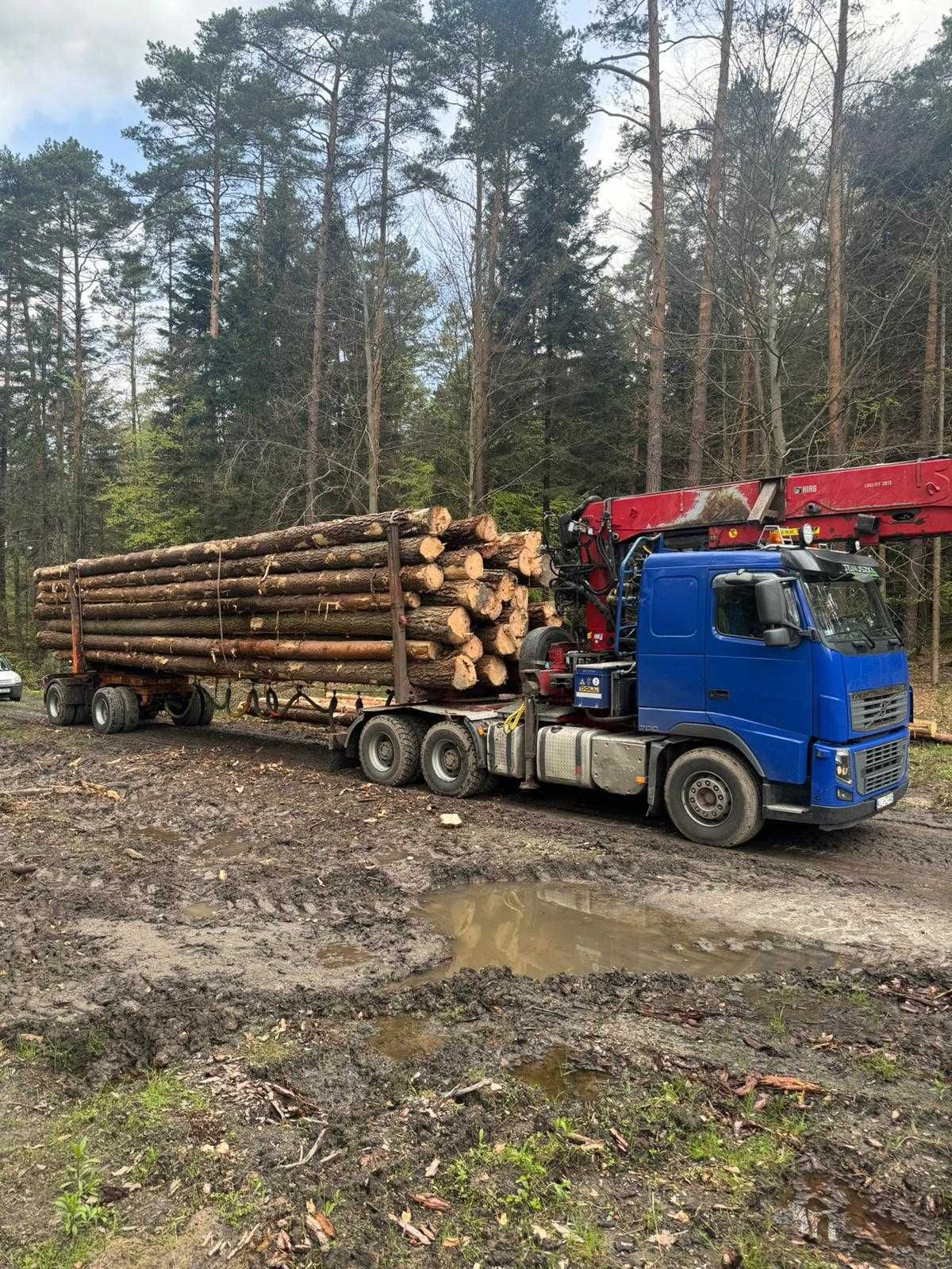 Sosna świeża drewno świerk szeroka gama surowca wieźba dachowa