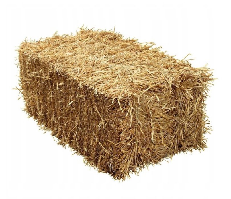 Słoma w kostkach pszenna i owsiana