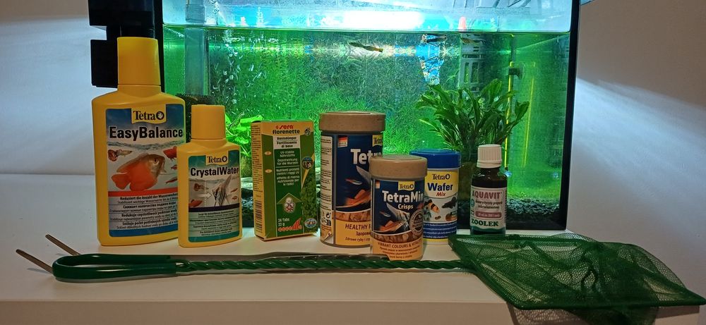 Akwarium z rybami i pełnym wyposażeniem