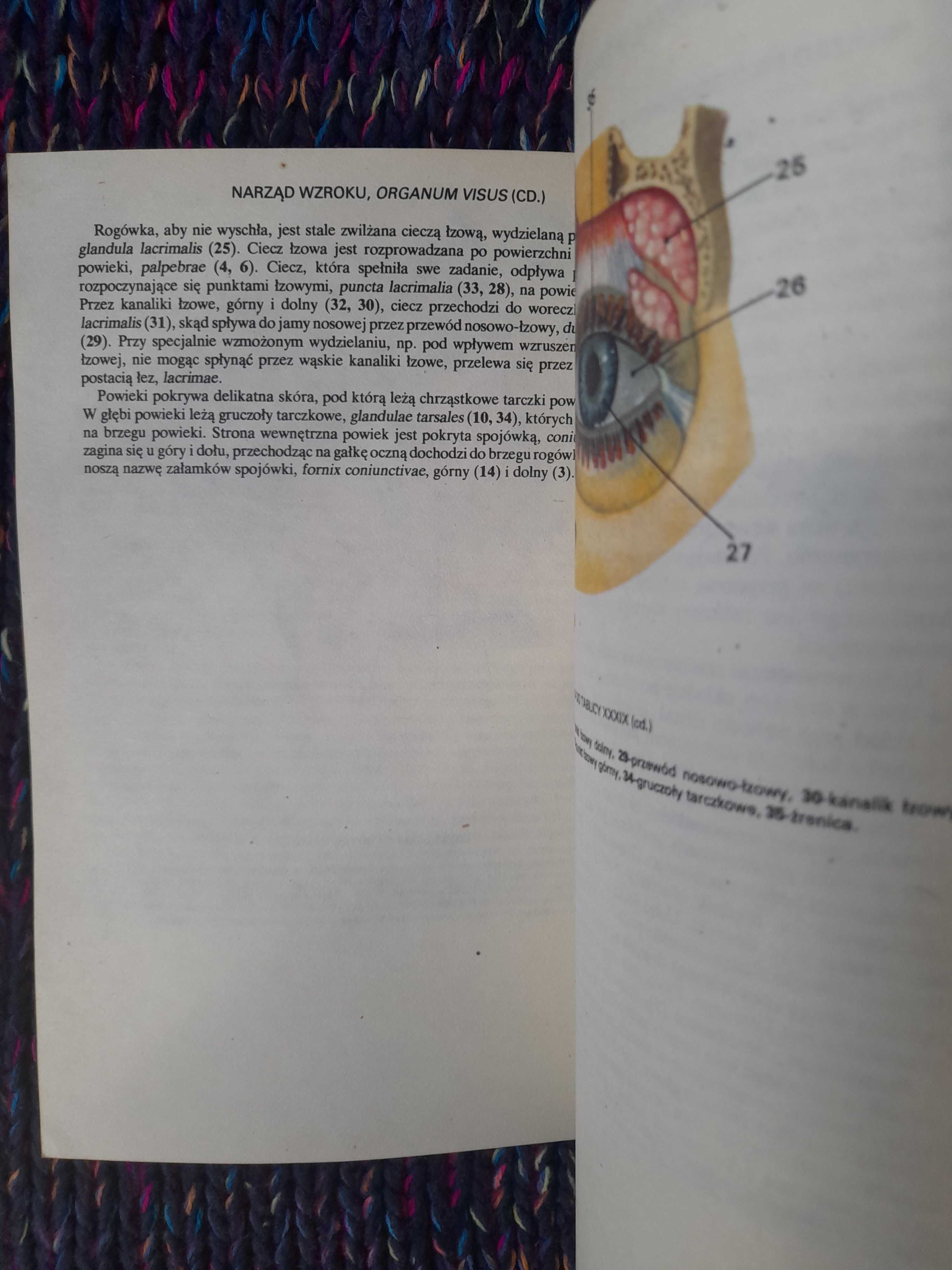 Mały atlas anatomiczny Sylwanowicz