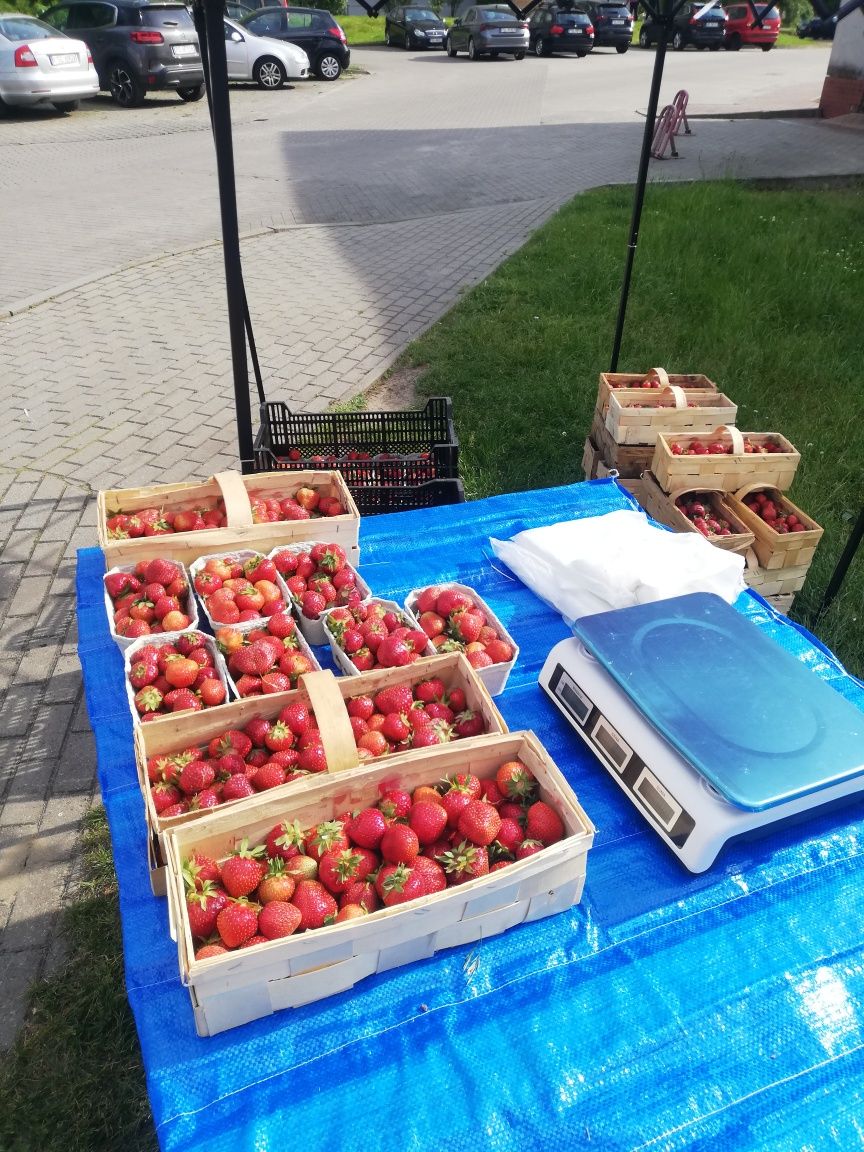 Pokuj do wynajecia