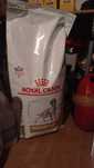 Ração Cão Urinary SO 13 Kg 2 sacos selados, novos