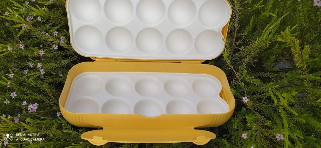 caixa dos ovos tupperware