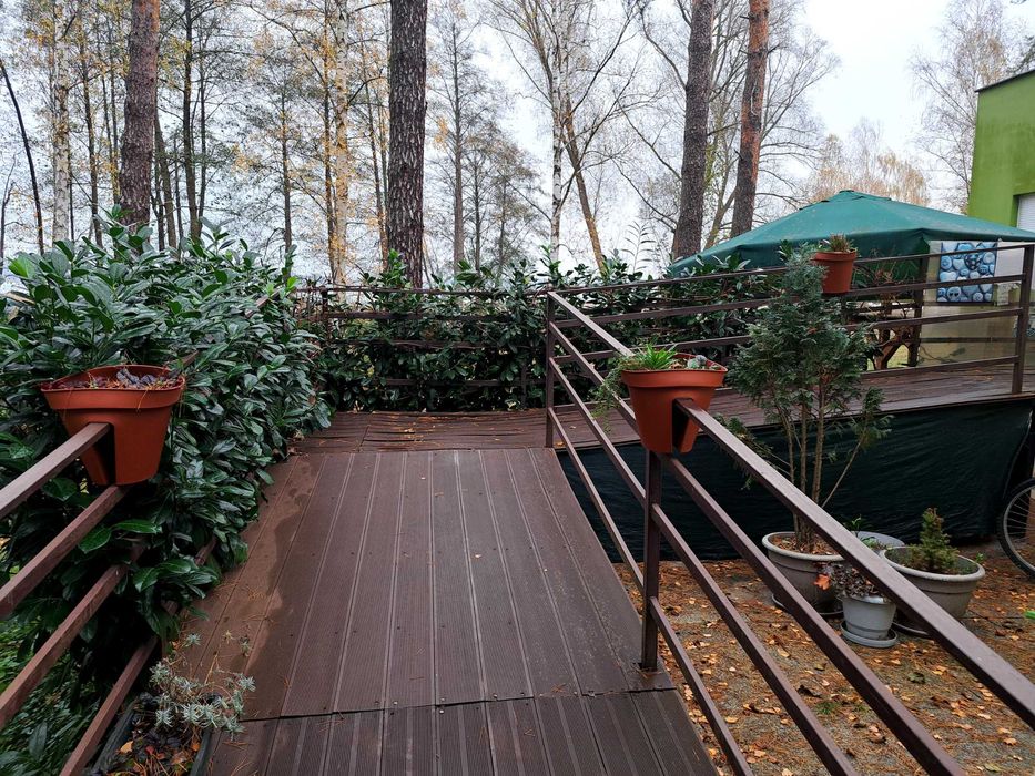 Pochylnia  dla niepelnosprawnych