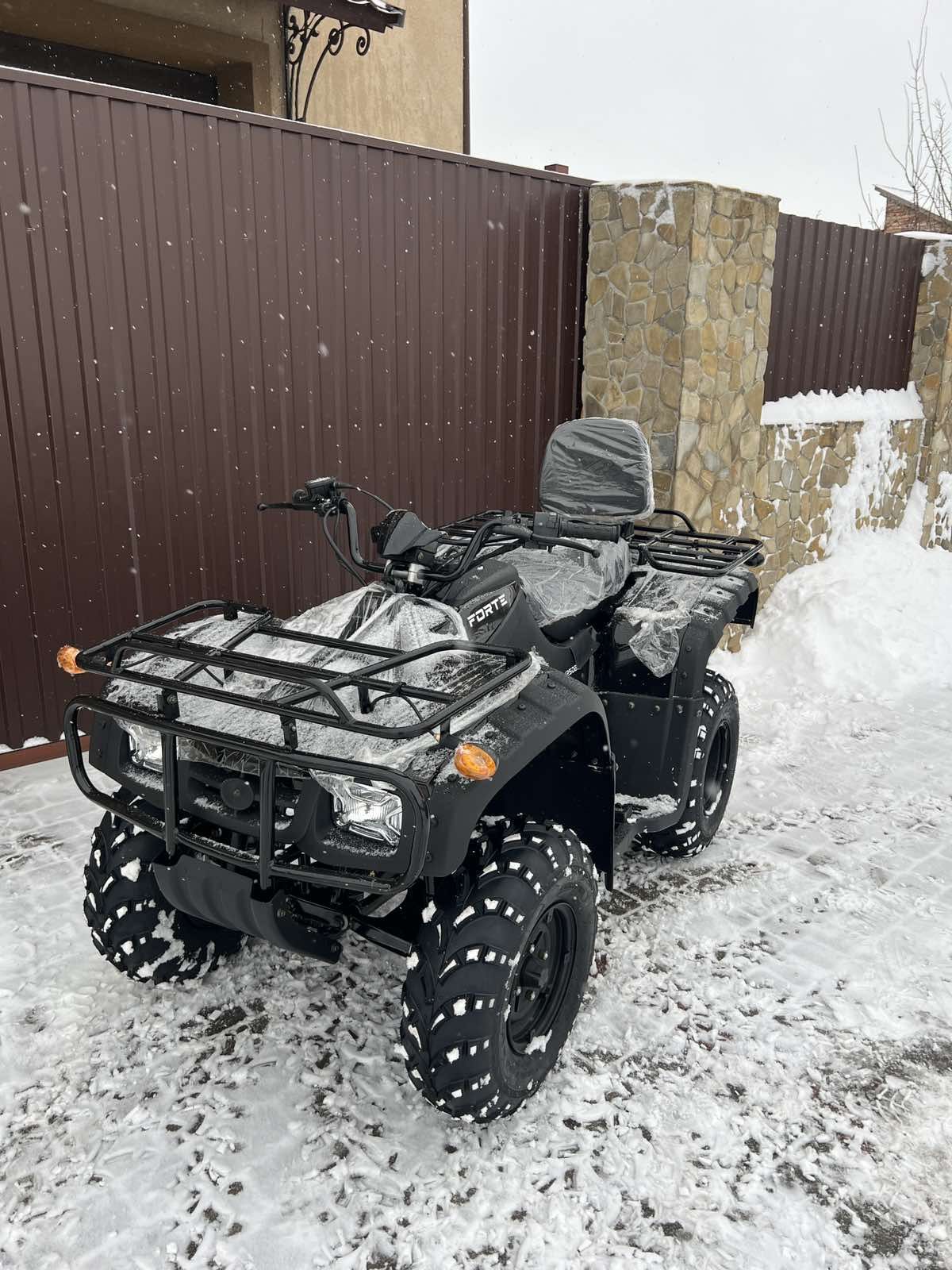 Квадроцикл Forte ATV250BS