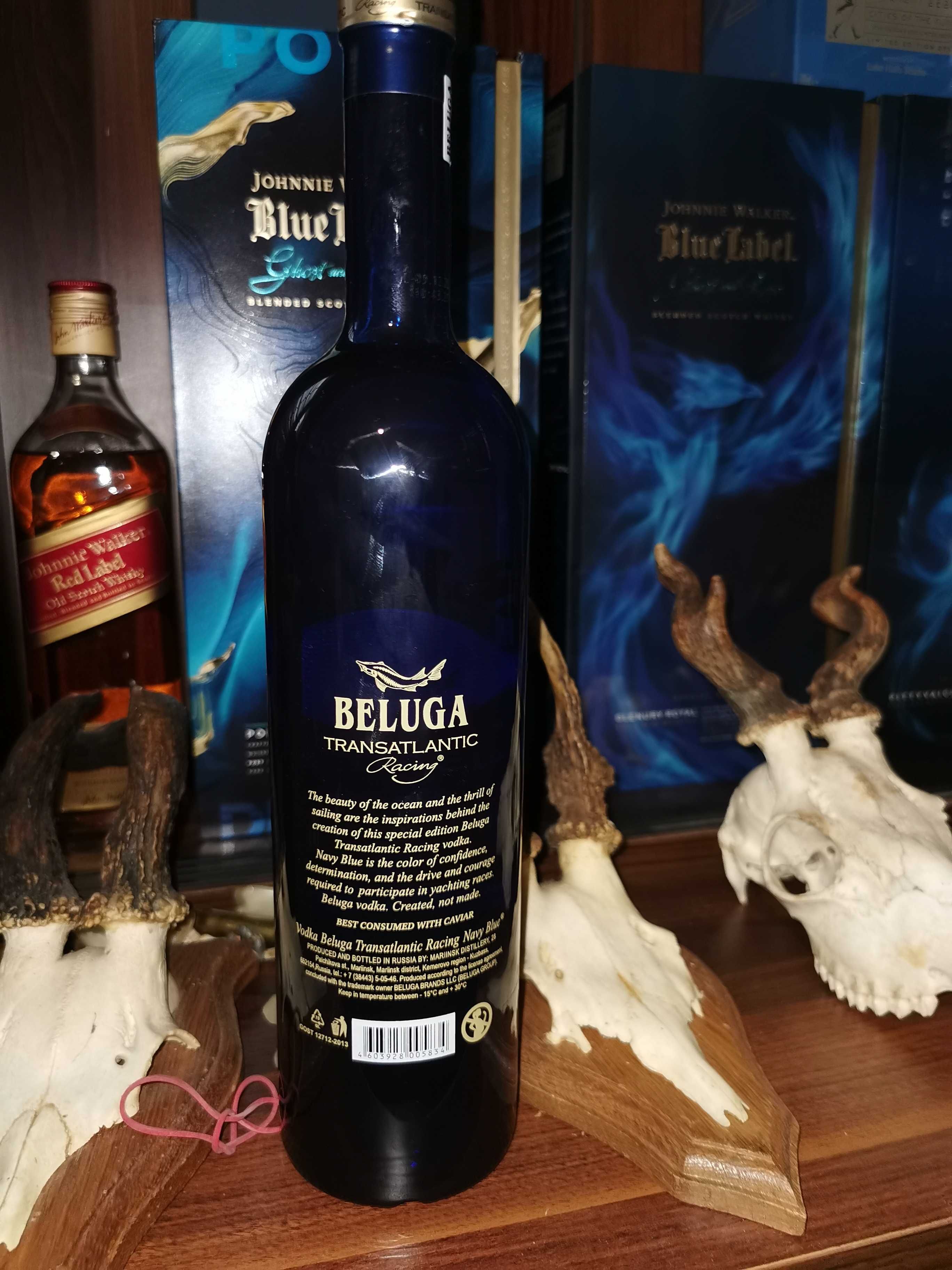 Beluga blue sprzedam zamienię