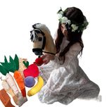Smaczki dla hobby horse,szczotka,marchewka,cukier,,spineczki gratis!