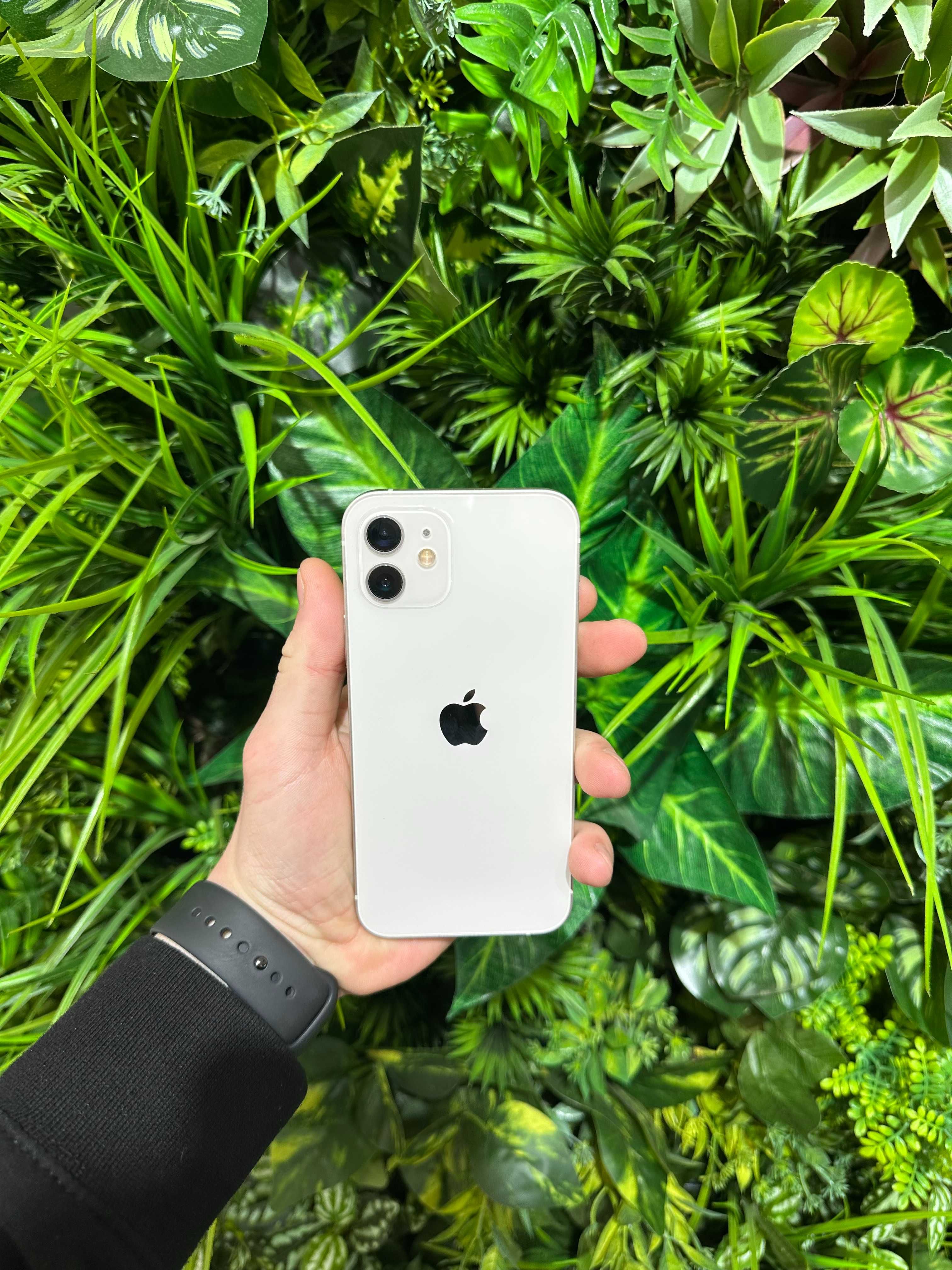 Магазин:Yablunka- Iphone 12 75%/64Gb+коробка
