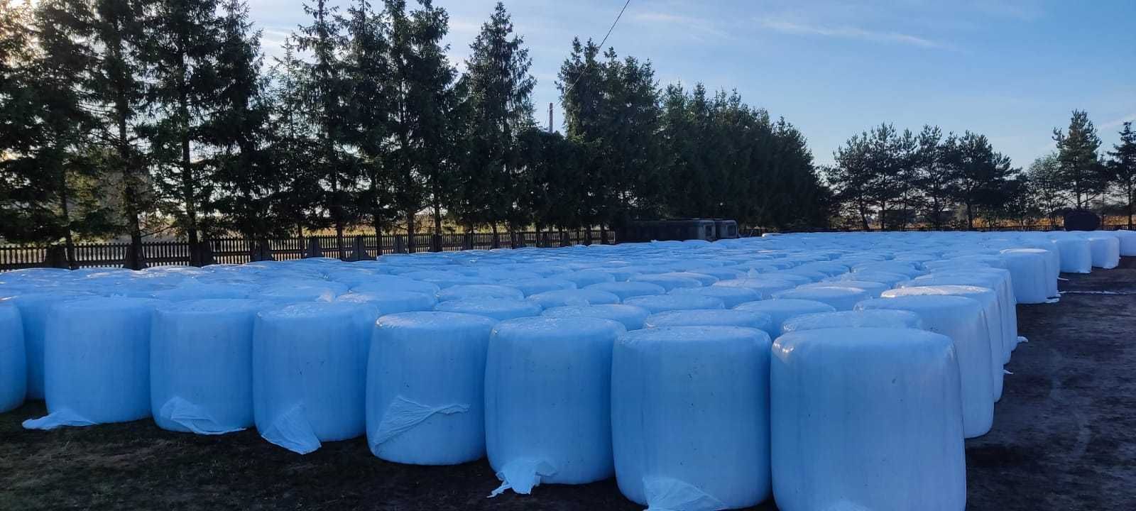 Sianokiszonka z żyta w belach Możliwość dostawy