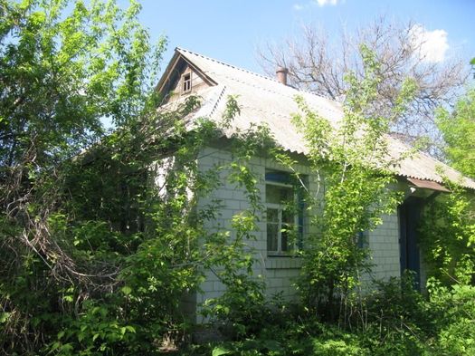 Будинок з ділянкою у с. Степанці Канівського р-ну Черкаська обл.