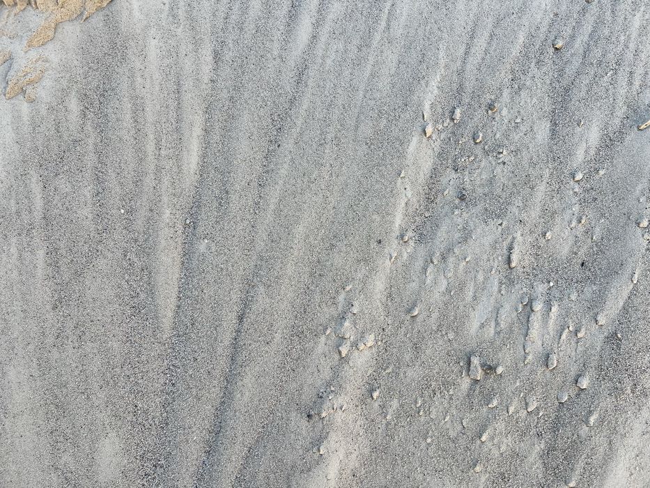 Piasek pierwszy gatunek Zaborze