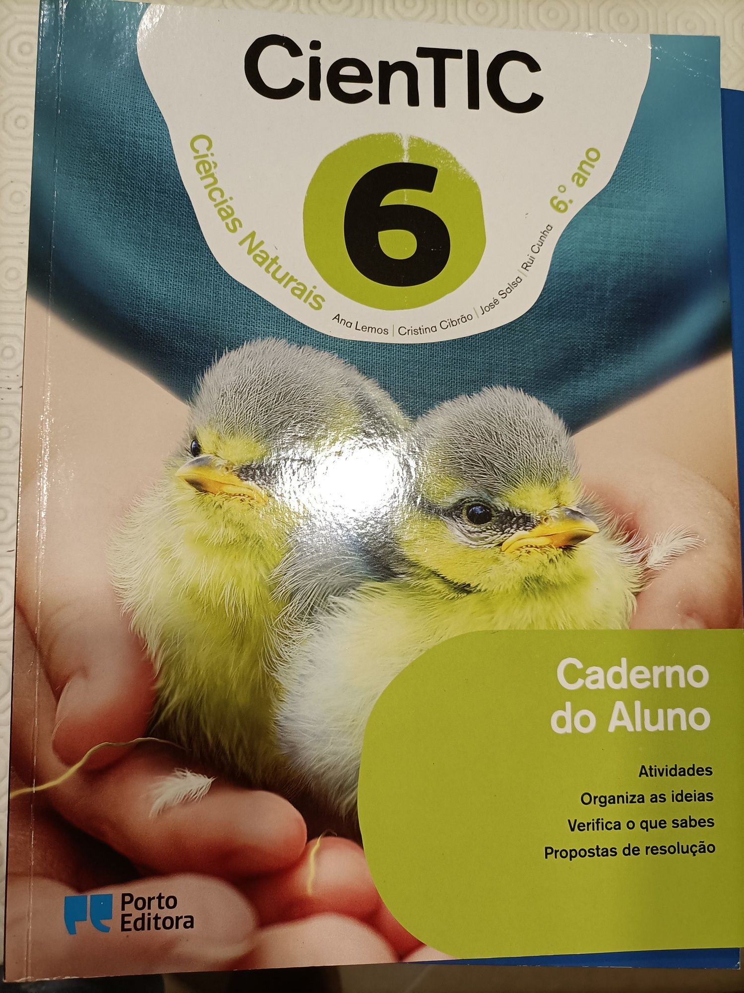 Livro de fichas 6⁰ ano,usados em bom estado