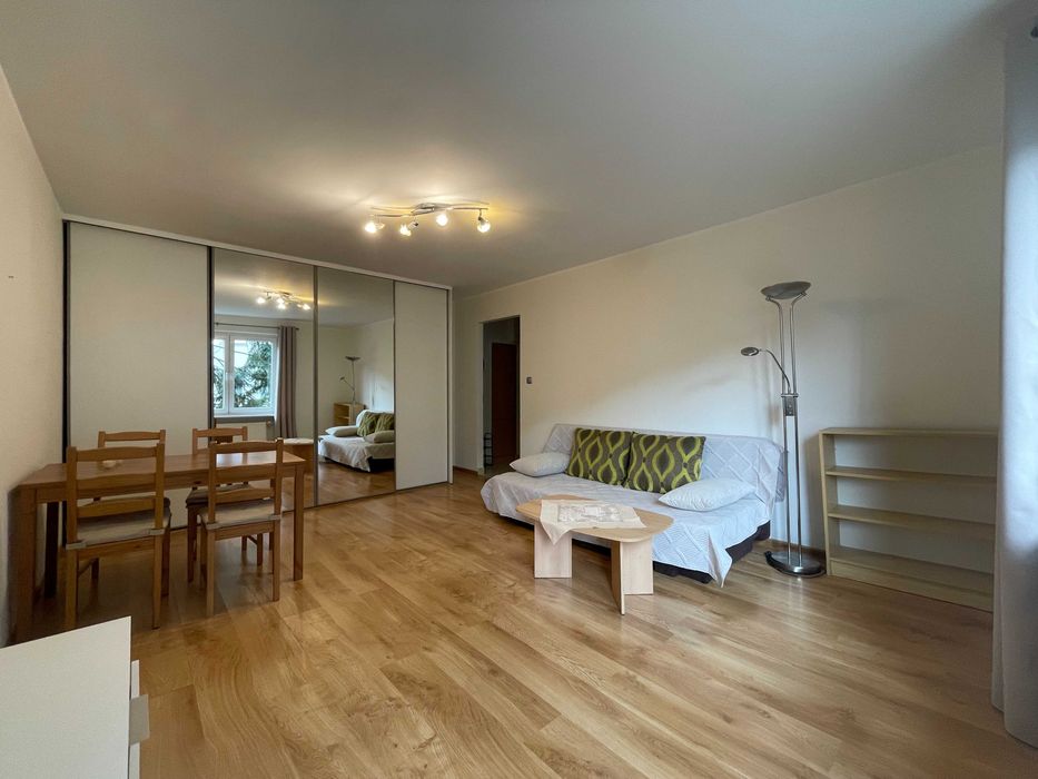 Bezpośrednio kawalerka 38m2 na wynajem ul. Źródlana Poznań