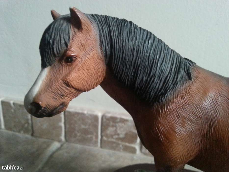Kucyk Scotland Pony by Leonardo Collection UK