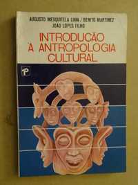 Introdução à Antropologia Cultural de Benito Martinez