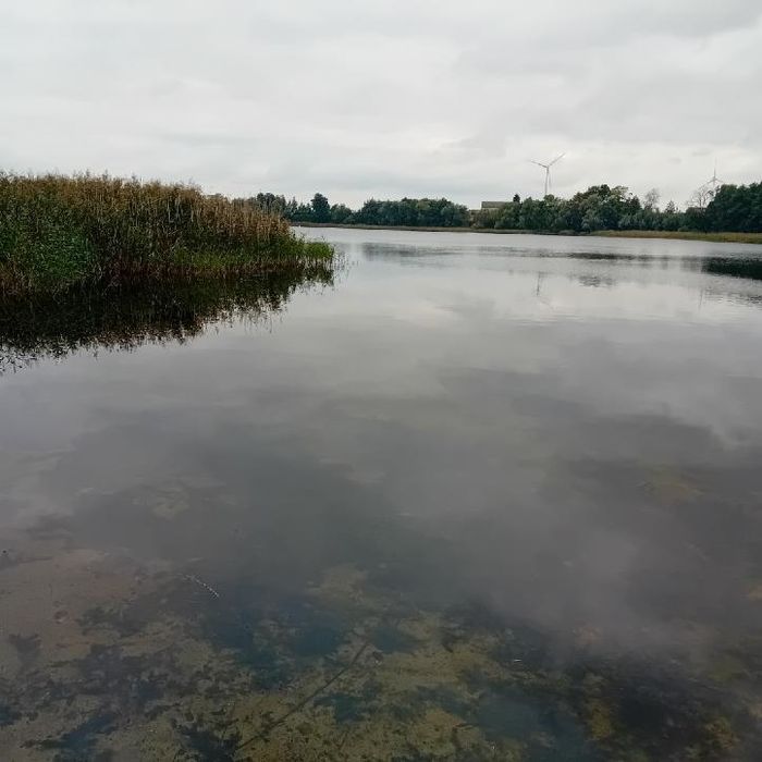 Diałki budowlane z dostępem do wody
