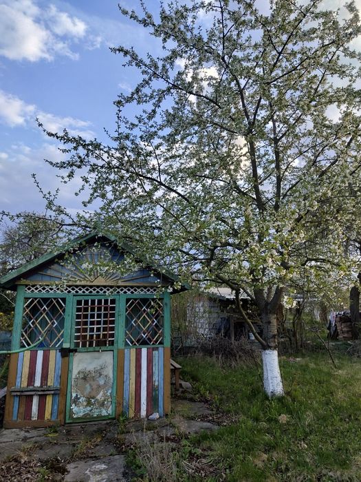 Działka ROD Osobowice - woda, wkrótce prąd 300m2