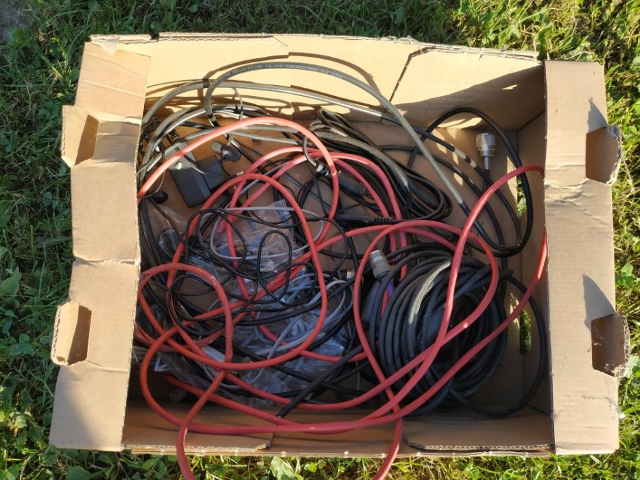 antena internetowa