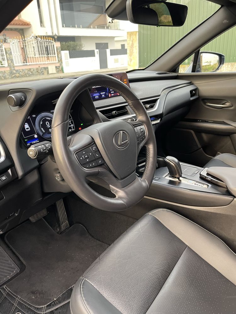 Lexus ux300e luxury